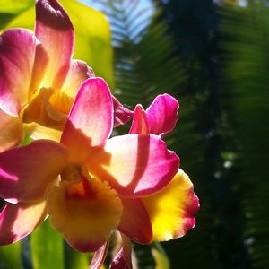 Meet your Posher, Bridget